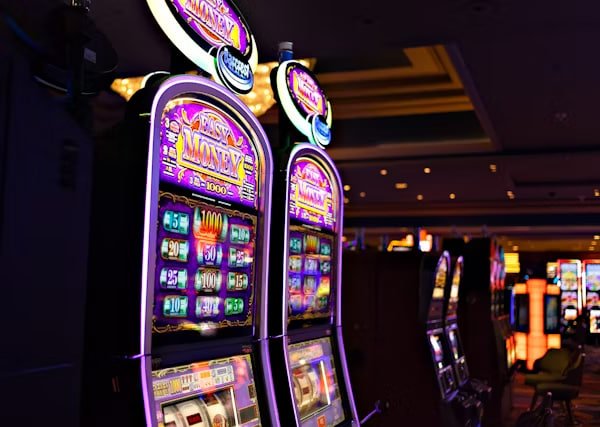 5588bet app